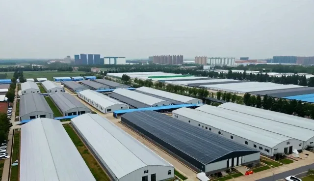 行业分类信息优化策略与实际应用场景解析